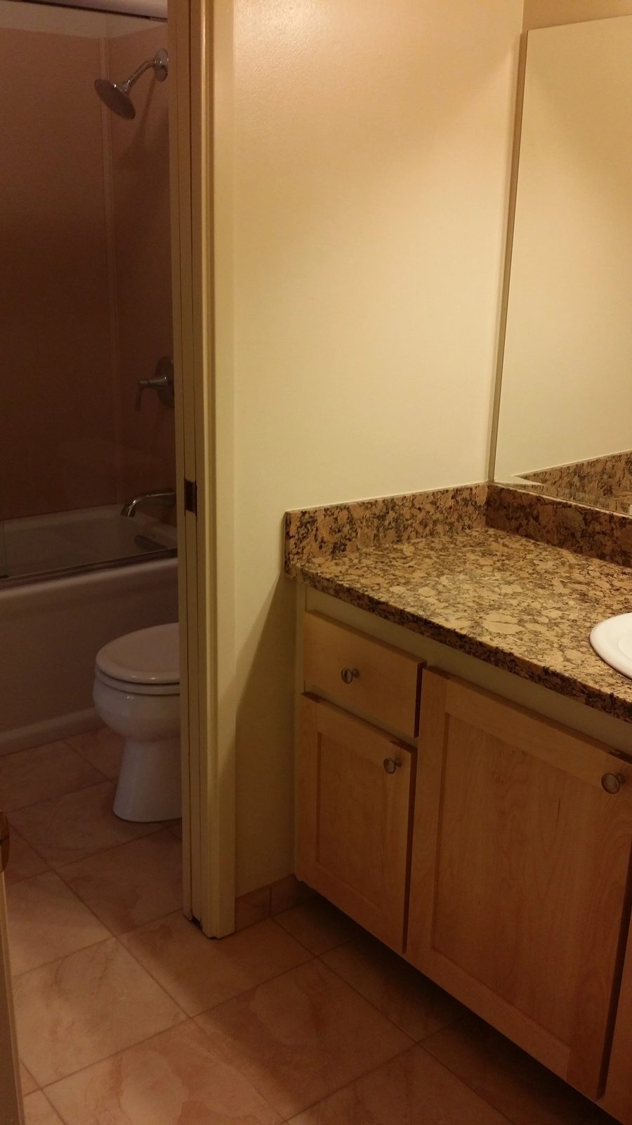 Bathroom vanity and countertop upgrade