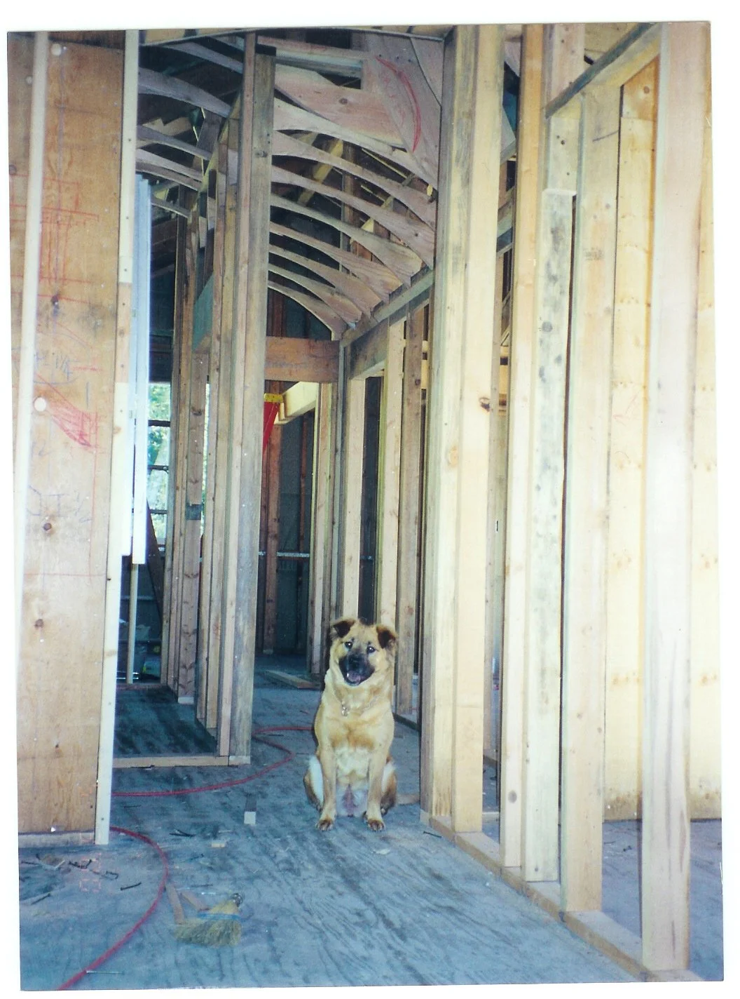 Wall framing rising on custom home