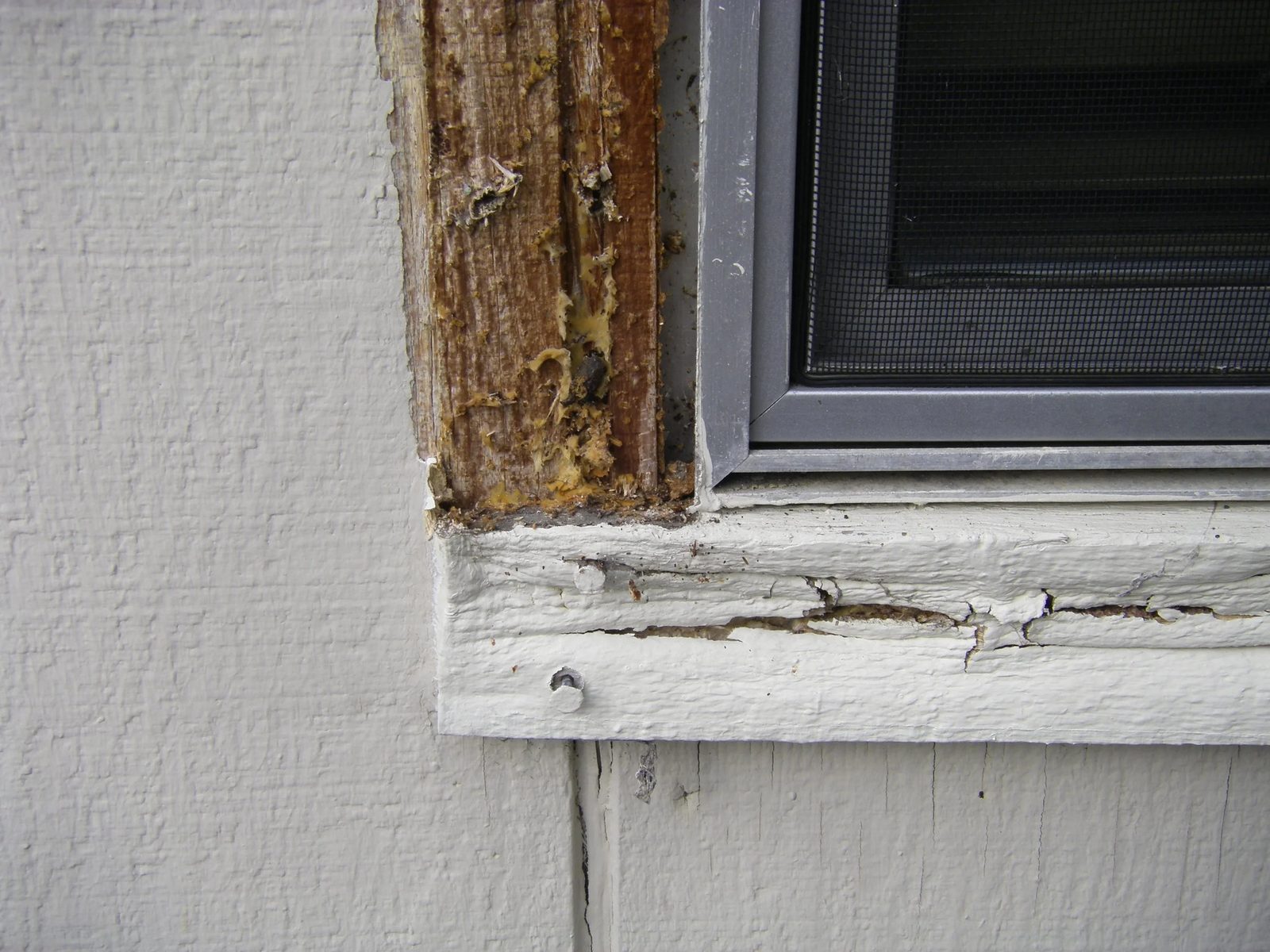 Energy-efficient window upgrade in progress