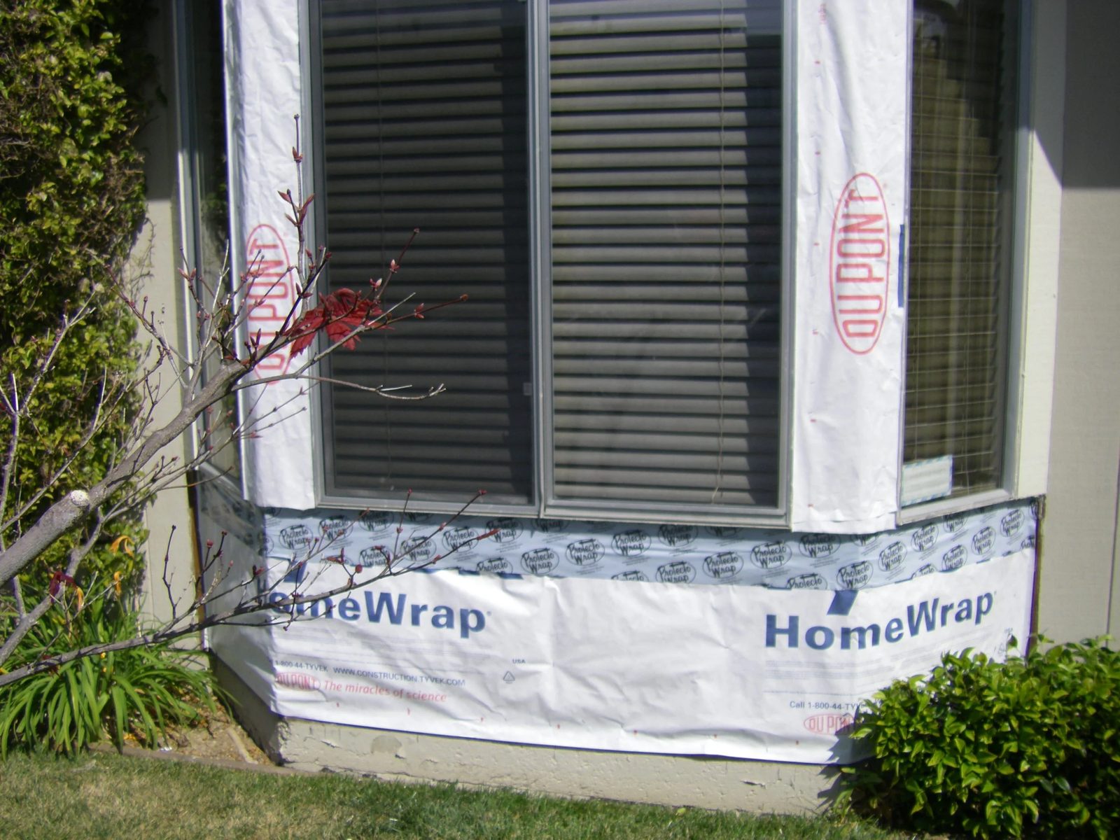 Window upgrade enhancing home curb appeal